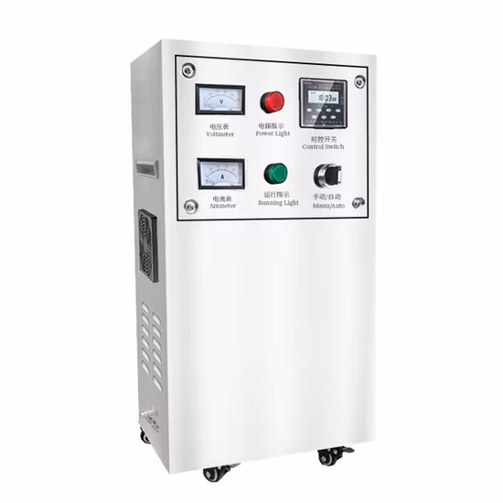 Wall Mounted Water Treatment Industrial Ozone Generator for Nuterlyzation Pool - Ozone Generator and